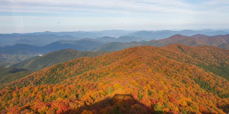 ケーブルカーから見た紅葉の美しいパノラマ写真。遠くの山々や空も写っている